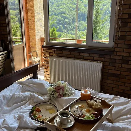 Hotel довбуш *