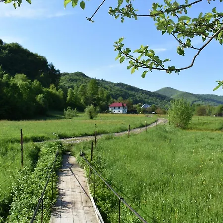 Szálloda довбуш Jaremcse